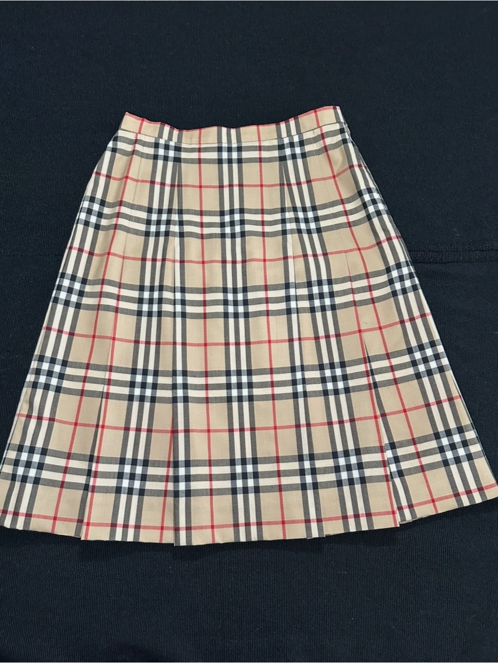Burberry Nova Check Skirt - Wool - 28” Waist VINTAGE RARE SM / Size 6 EXCELLENT